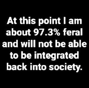 Meet your Posher, Roger